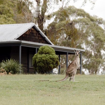 Palmers Lane Estate Hunter Valley بوكولبن المظهر الخارجي الصورة