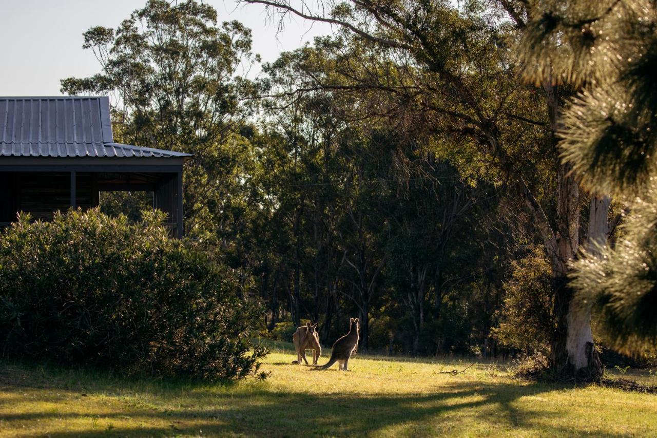 Palmers Lane Estate Hunter Valley بوكولبن المظهر الخارجي الصورة
