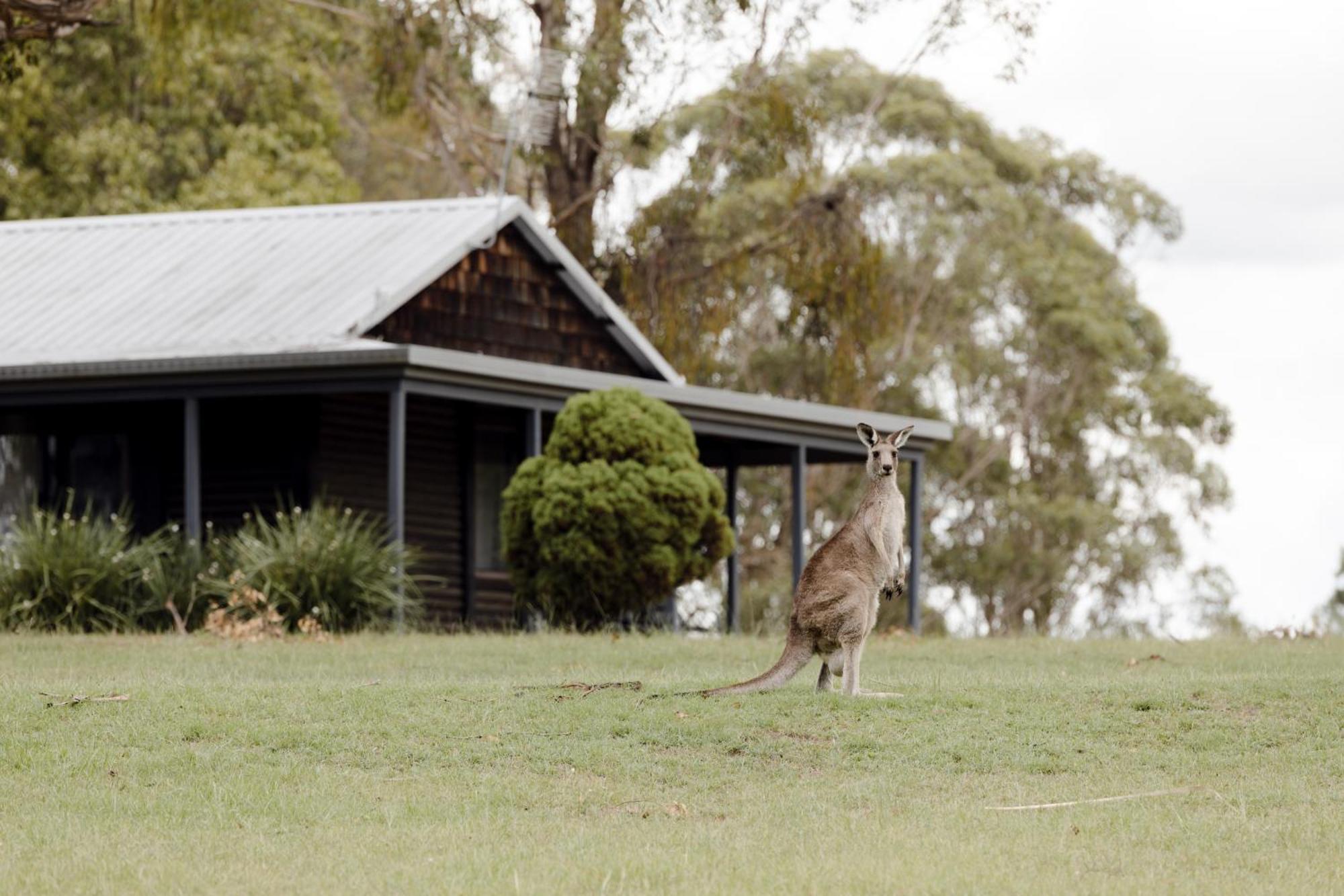 Palmers Lane Estate Hunter Valley بوكولبن المظهر الخارجي الصورة